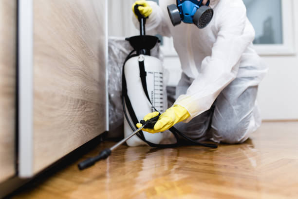 Best Affordable Exterminators  in Mountainside, NJ