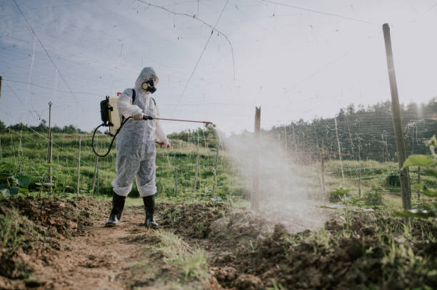Best Local Pest Control Services  in Mountainside, NJ
