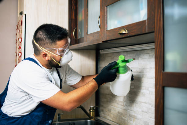 Best Bed Bug Extermination  in Mountainside, NJ