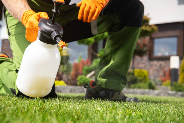 Best Ant Control Services  in Mountainside, NJ