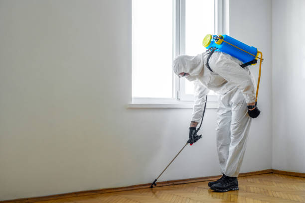 Flea Control Services in Mountainside, NJ