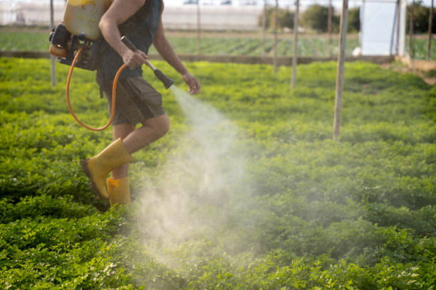 Pest Control for Restaurants in Mountainside, NJ