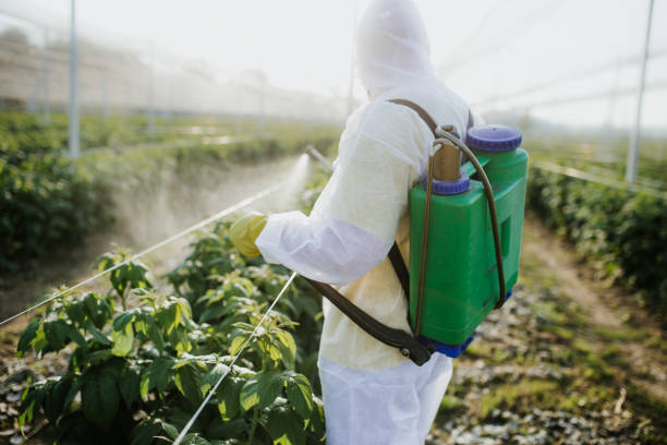 Best Mosquito Control Services  in Mountainside, NJ